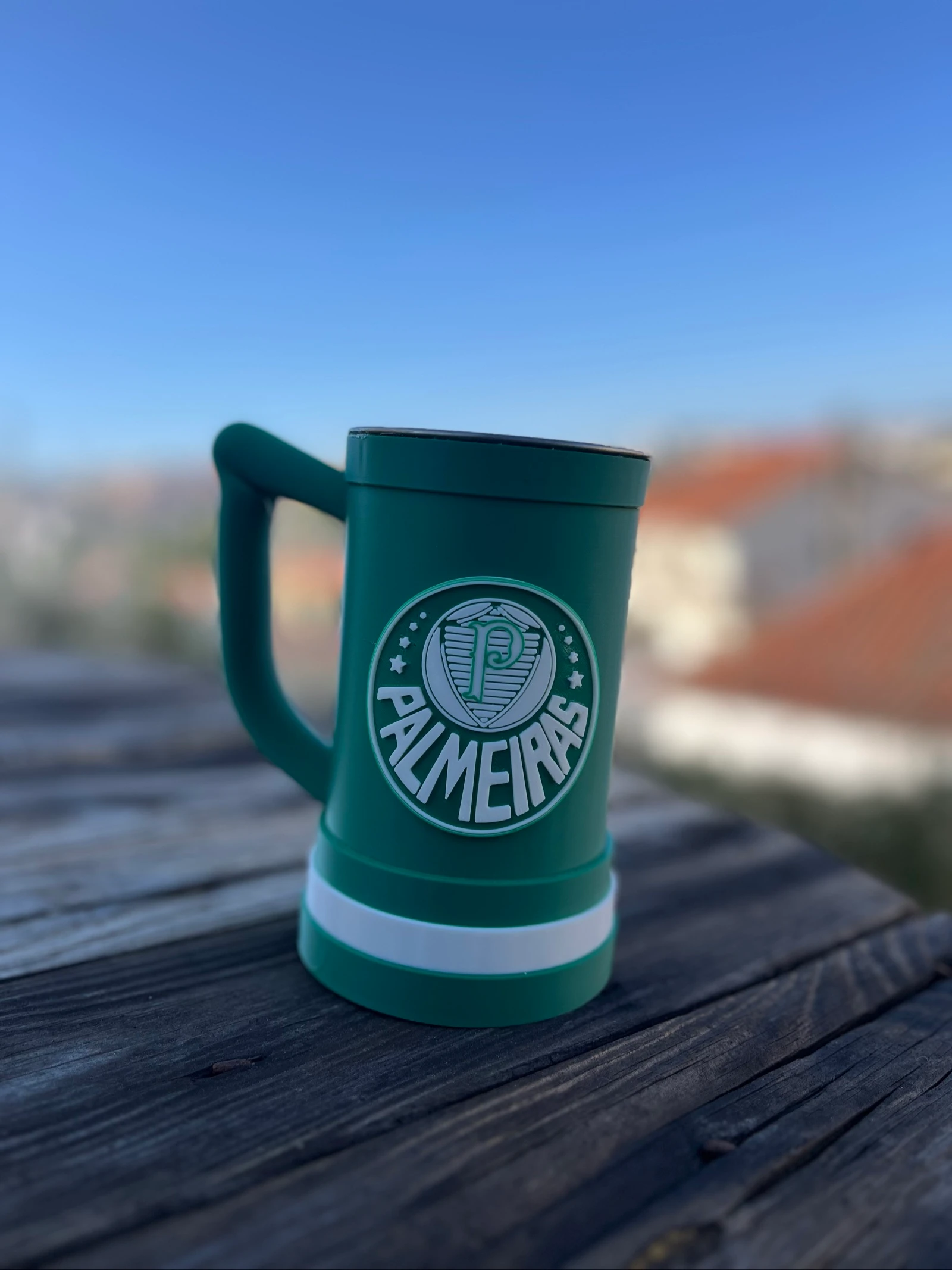 Copa del Palmeiras – photo 2